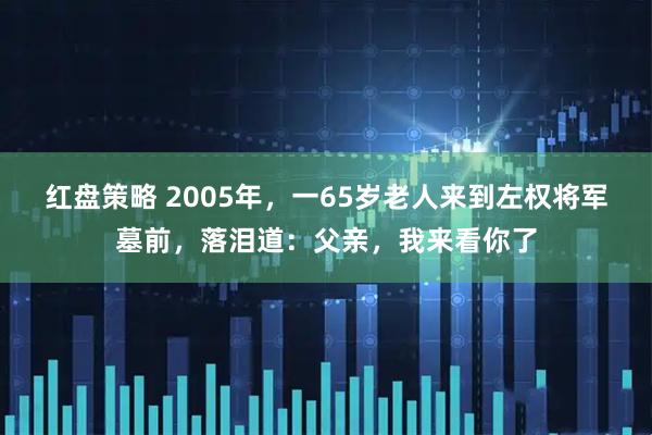 红盘策略 2005年，一65岁老人来到左权将军墓前，落泪道：父亲，我来看你了