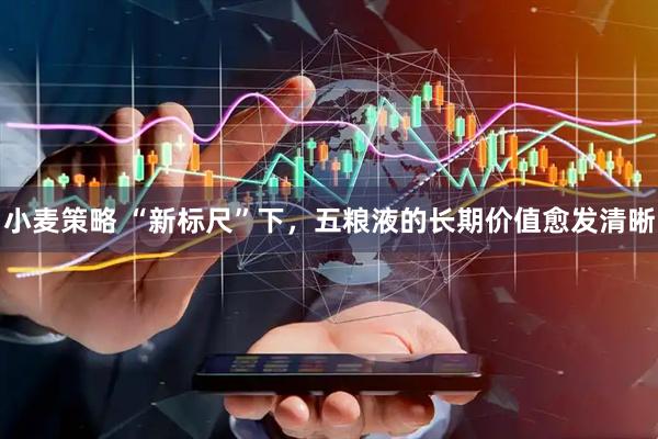 小麦策略 “新标尺”下，五粮液的长期价值愈发清晰