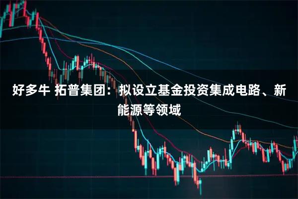 好多牛 拓普集团：拟设立基金投资集成电路、新能源等领域